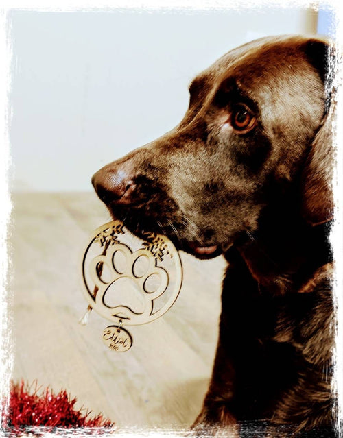 Christmas Pet Tree Ornament, Pet Lover Gift tag, Wood Stocking Name Tag, Personalized Ornament, Custom Pet Dog Cat Ornament, Bauble
